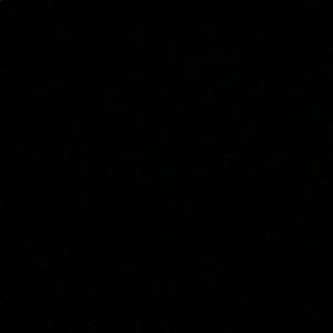 Meet your Posher, Landon